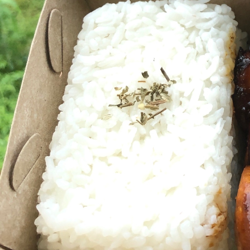 Nasi putih