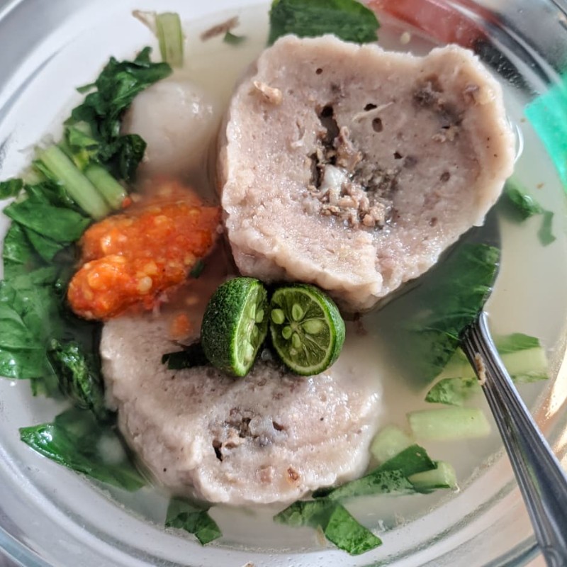 Baso megalodon & urat